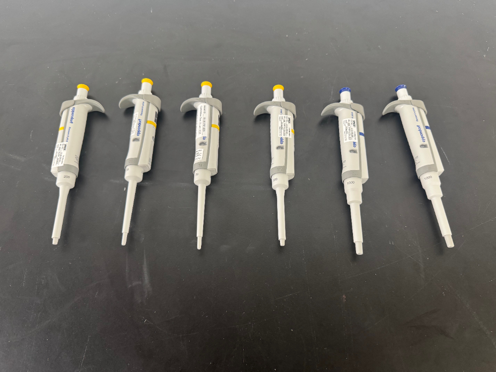 Image of Eppendorf Research Plus Single Channel Pipettes - Quantity 6